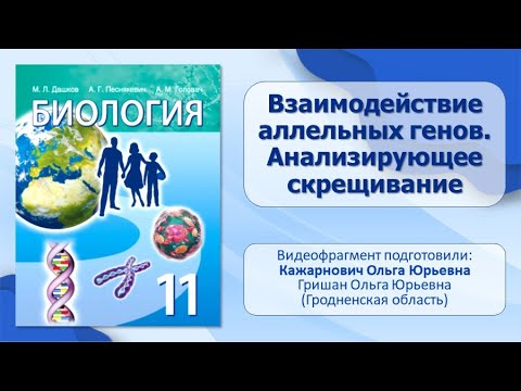 Видео: Тема 32. Взаимодействие аллельных генов. Анализирующее скрещивание