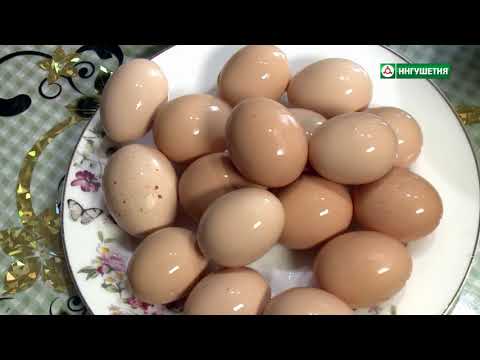 Видео: ТУХ СИСКАЛ 30042021