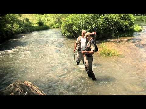 Видео: Ribolov na nimfа (Fly fishing with nymph)