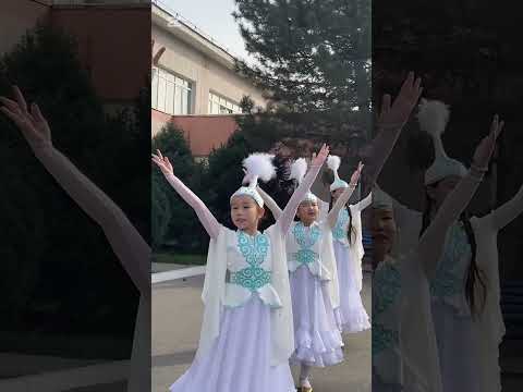 Видео: “Қыран елім – Қазақстаным” тақырыбында “ Томирис” би ансамблінің флешмобы