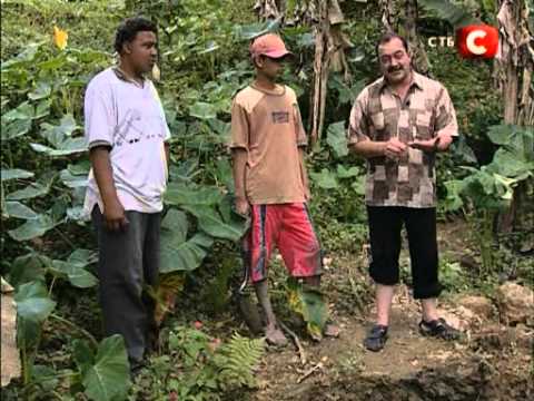 Видео: В поисках приключений - Доминиканская республика