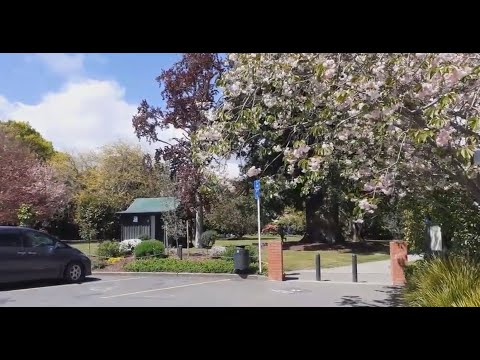 Видео: Прогуляемся по красивому парку посёлка Ричмонд. от 22.10.25