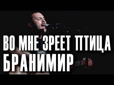 Видео: Во мне зреет птица («Змея»). Бранимир (Branimir). Концерт Бранимира (Александра Паршикова) в Москве.