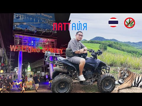 Видео: САЙЫН-2023 3 Ч. | ПАТТАЙЯ САХА ХАРАҔЫНАН | ТАЙЛАНД