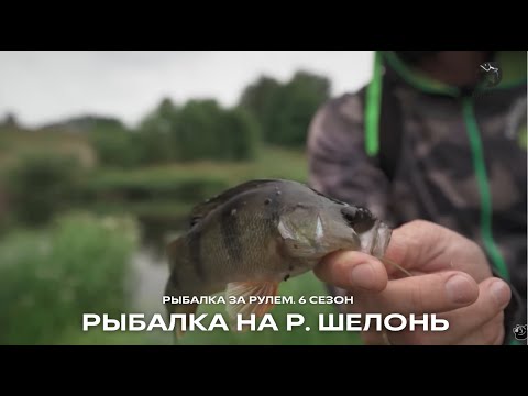Видео: Ловим щуку руками! Рыбалка на р. Шелонь / Рыбалка за рулем  6 сезон. 21 серия