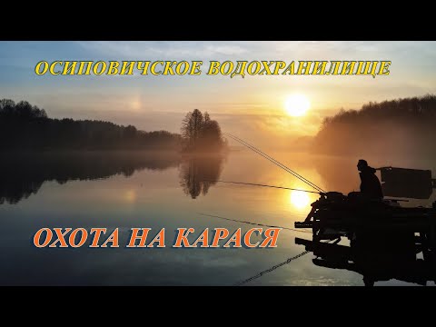 Видео: ОХОТА НА КАРАСЯ | Осиповичское водохранилище 2024 | Рыбалка в Беларуси