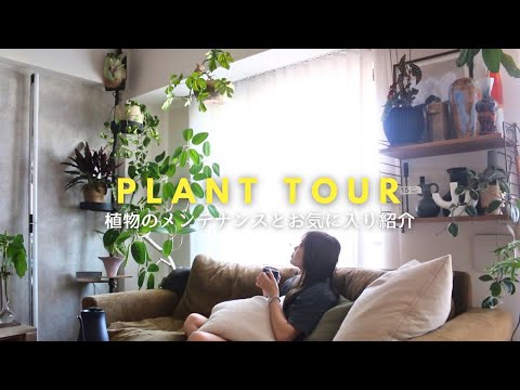 Видео: Уход за растениями и знакомство с любимыми растениями   ｜Тур по заводу