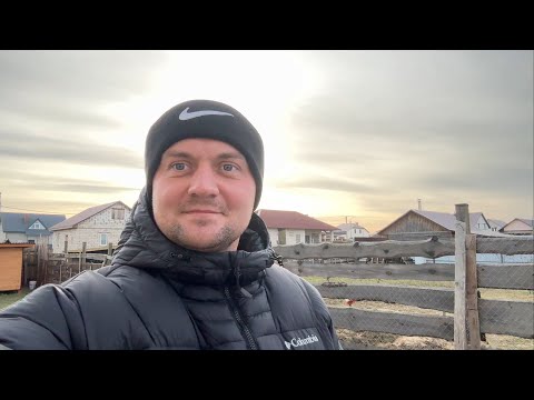 Видео: Geely Atlas Pro 2023 Шум маховика после замены пропал или нет???