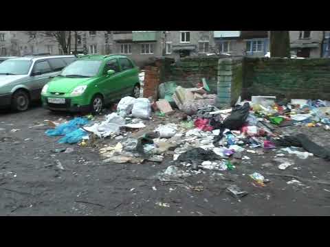Видео: Бидон мусорил всю зиму #Ярославль #Пятерка #весна