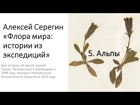 Видео: Алексей Серегин "Хотспоты флоры мира + Альпы"