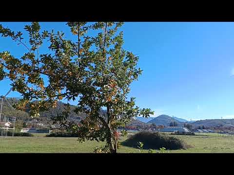 Видео: Продолжаем говорить о ПОДРУЖКАХ...👍👍👍