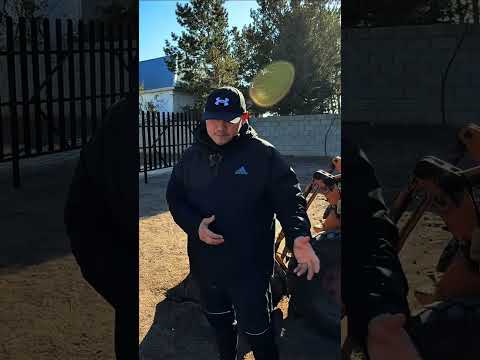 Видео: Ферма верблюдов