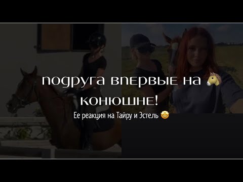 Видео: веселый и интересный влог с конюшни)