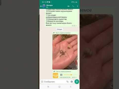 Видео: Адыраспан