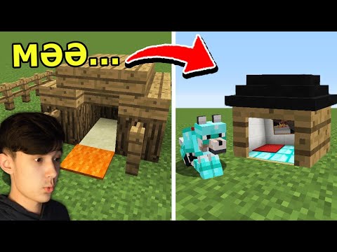 Видео: Итіме үй салдым 🐶