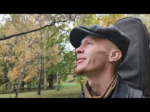 Видео: Романтическая музыка на гитаре