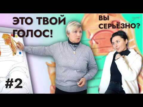 Видео: 5 элементов красивого голоса. Гортань решает все!