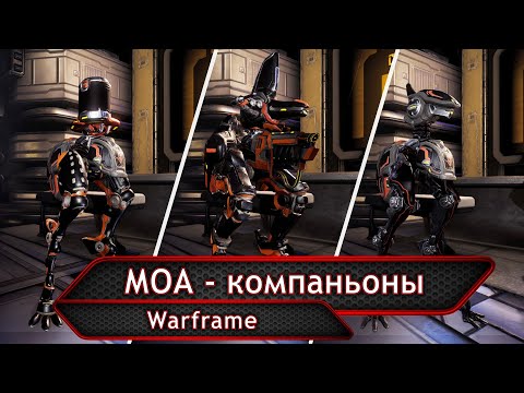 Видео: Warframe. МОА-компаньоны.