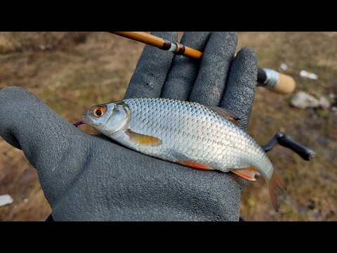 Видео: Nac Corp. MICRO SP 49 0.5g 6 pcs.Трэвел для мормышинга.