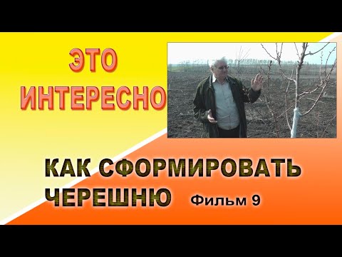 Видео: Как сформировать черешню 9