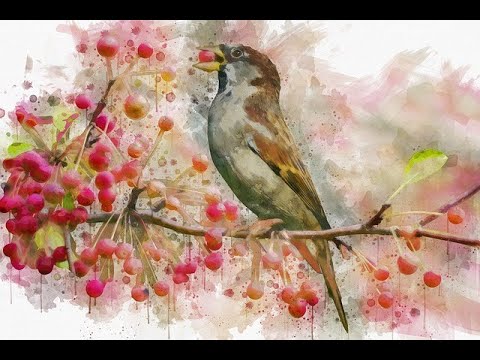 Видео: Преспективи в личния живот до края на пролетта