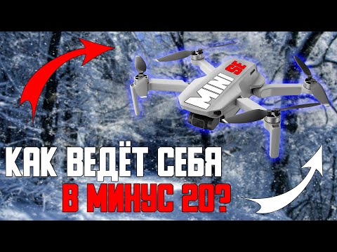 Видео: НА ЧТО СПОСОБЕН DJI MINI SE УРАЛЬСКОЙ ЗИМОЙ? Тест в минус 20!