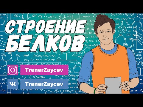 Видео: 02. Белки