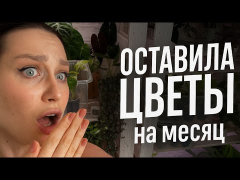 Видео: КАК ОСТАВИТЬ ЦВЕТЫ БЕЗ ПРИСМОТРА НА ВРЕМЯ ОТЪЕЗДА | ЛАЙФХАКИ 