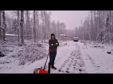 Видео: Первая Митель на Аляске (79)