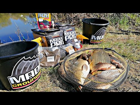 Видео: Риболов на Шарани и каракуди