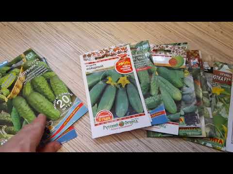 Видео: Посылка с "Русского огорода" осень 2020