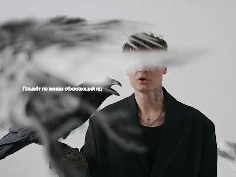 Видео: МУККА – Вороны (Lyric Video)