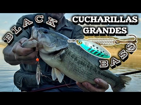 Видео: ЛОЖКИ с БОЛЬШИМИ лопастями, СУПЕРЭФФЕКТИВНЫЕ ПРИМАНКИ для ЛОВЛИ ЧЕРНОГО ОКУНЯ