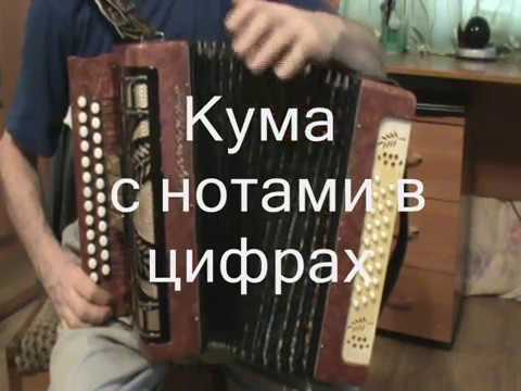 Видео: Кума с нотами в цифрах