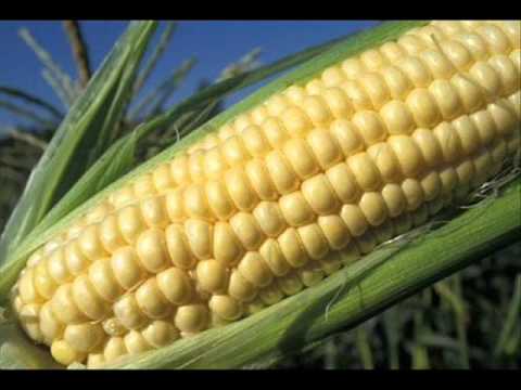 Видео: Груйчо Дочев - Царевице, хубавице