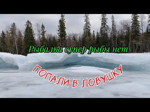 Видео: Рыбалка супер рыбы нет попали в ловушку Онего