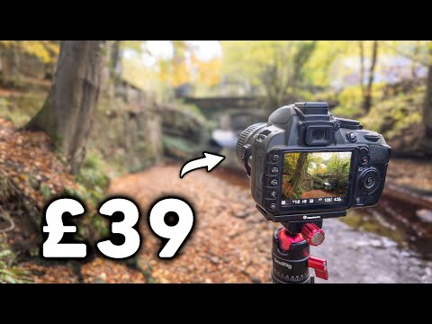 Видео: Я попробовал фотографировать природу старой дешевой камерой