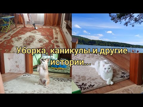 Видео: Веселая уборочка / Про травлю во дворе, отдых и другое ....