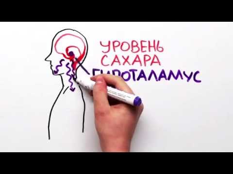 Видео: Сколько человек может прожить без еды?