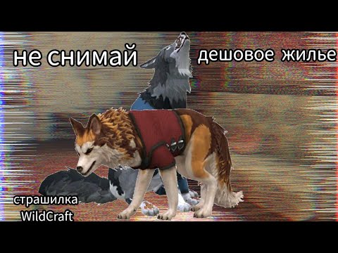 Видео: Страшилка WildCraft  "не снемай дешовое жилье.