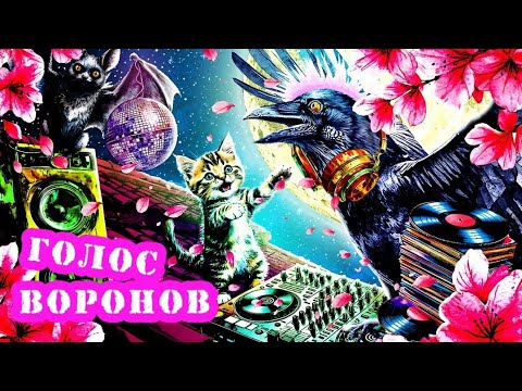 Видео: ЕГО МЫСЛИ