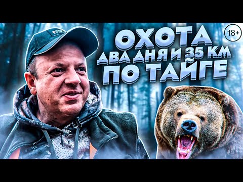 Видео: Охота на медведя с лайками. Два дня и 35 км по тайге.