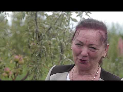 Видео: История ЖЕНЩИНЫ, которая из 2-х вёдер рыб, сумела построить бизнес