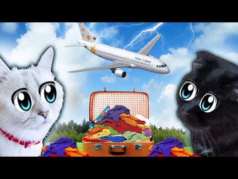 Видео: Что Произошло 5 сентября? Почему кошкам никто НЕ ВЕРИТ?!
