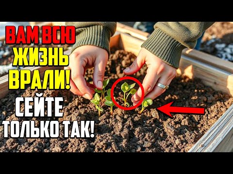 Видео: Этот Простой Метод Посева Осенью Изменит Ваш Огород Навсегда!