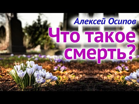 Видео: О смерти. Что такое #смерть? Жизнь ПОСЛЕ СМЕРТИ. Бессмертие души