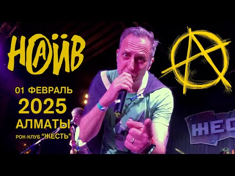Видео: НАИВ - концерт в Алматы 1 февраля 2025, рок-клуб ЖЕСТЬ #наив