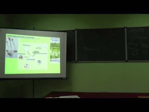 Видео: 7.11.13 Физиология растений - Чуб В.В. часть 1
