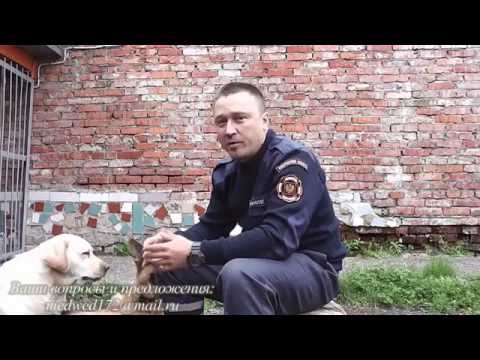 Видео: команда "НЮХАЙ"