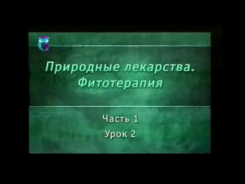 Видео: Фитотерапия. Урок 1.2. Адаптогены. Часть 1